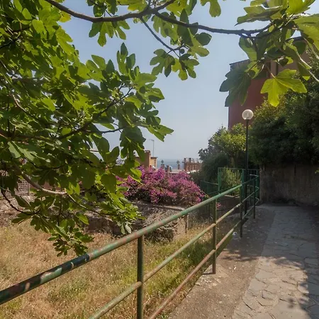 Apartment Il Geco *